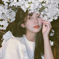 迅狗NPV加速器iOS版用户LISA,很满意迅狗NPV加速器iOS版